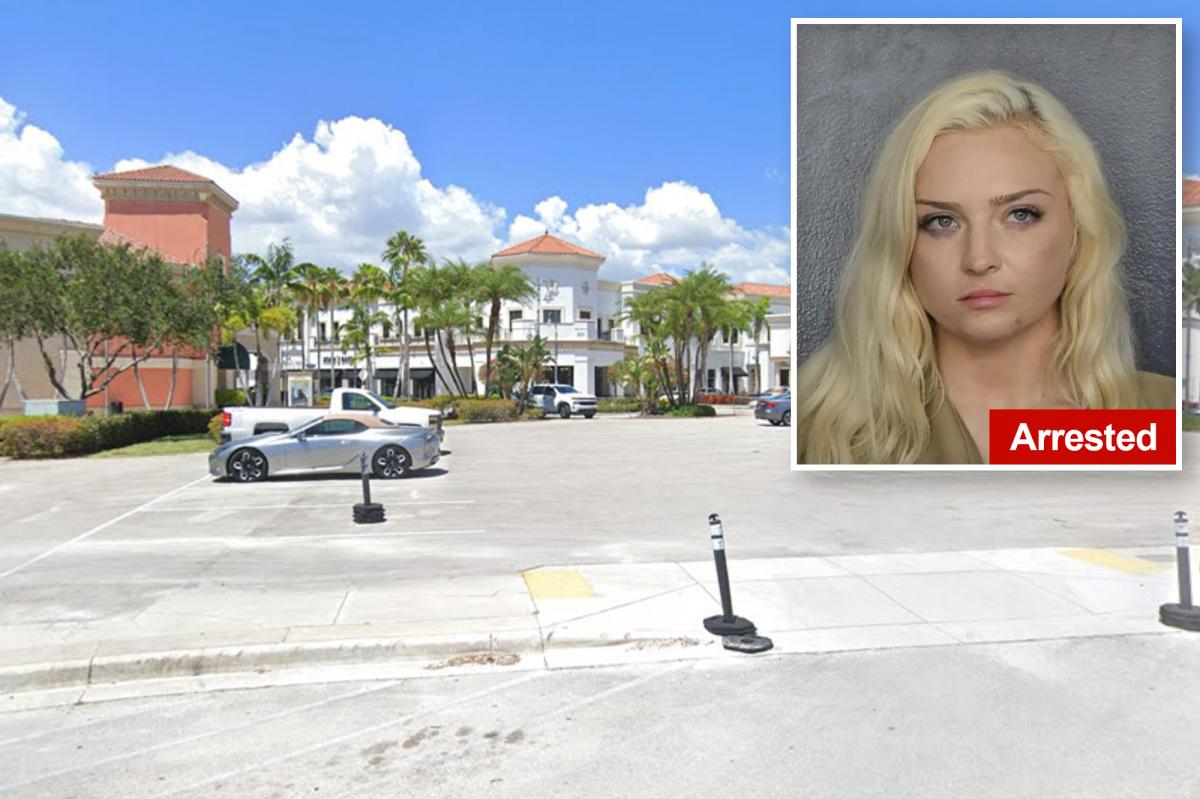 Florida Woman's Casino Encounters Lead to High-Stakes Rolex Thefts