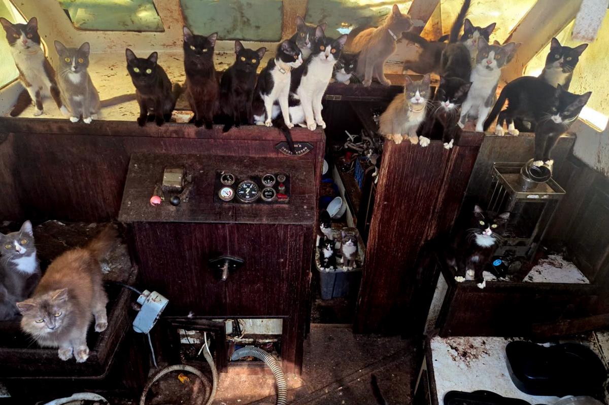 Mystery of Tacoma's Cat Boat: What Happened to the Missing Crew?