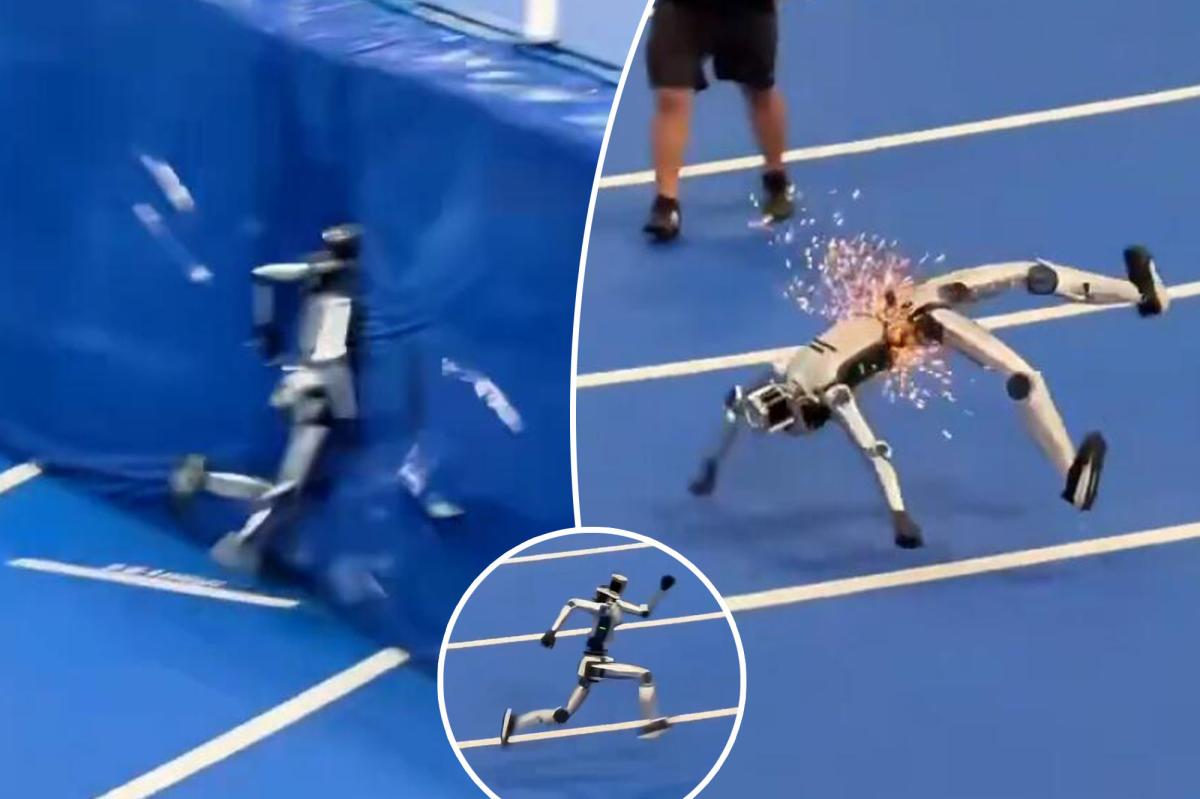 Humanoid Robot's Epic Crash at World Humanoid Games Sparks Online Frenzy