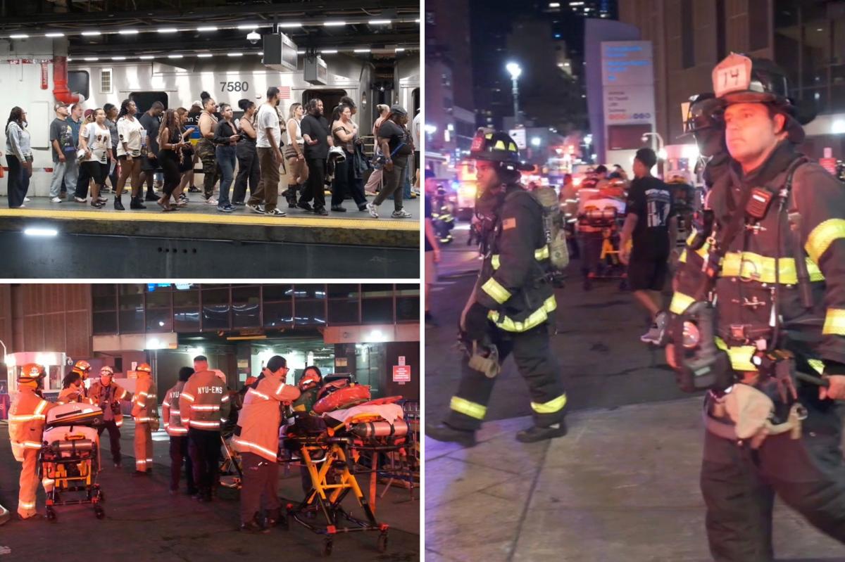 Chaos Unfolds as Chris Brown Concert Goers Endure Nightmare Train Ride