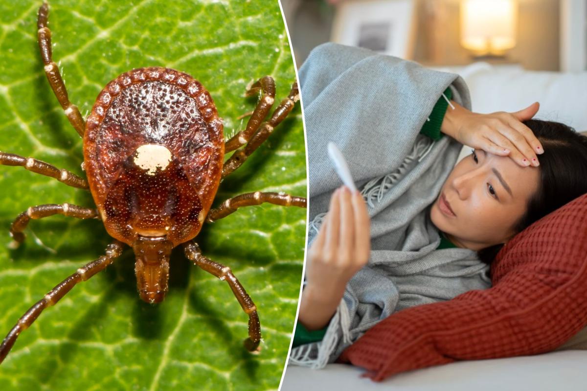 Bourbon Virus in New York: What You Need to Know About This Rare Threat